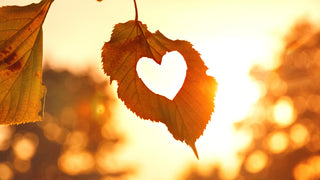 Love, Actually (But the Real Version)